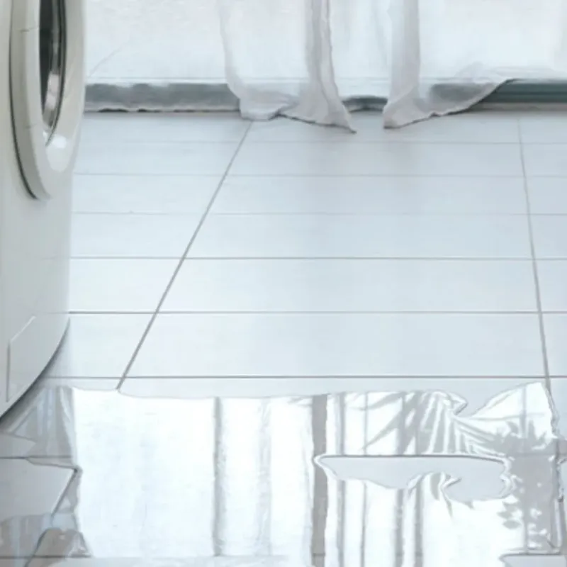 Appliance Leak Cleanup in Stuart, VA