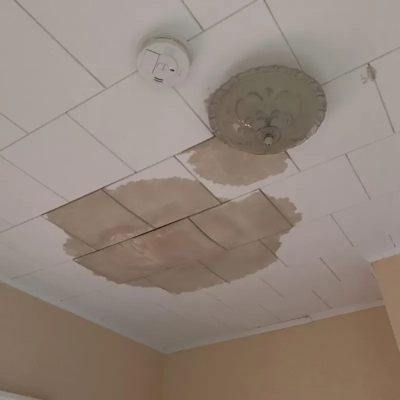 Ceiling Water Damage Repair in Stuart, VA