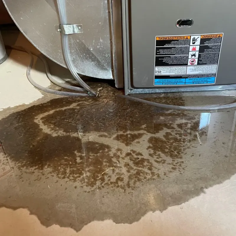 Pipe Burst and Leak Restoration in Stuart, VA