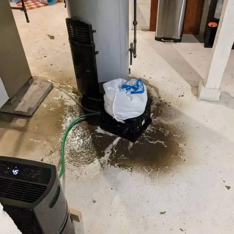Sewage Backup Cleanup Service in Stuart, VA